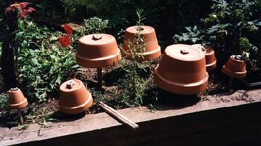 Photo of Clay Pot assemblage